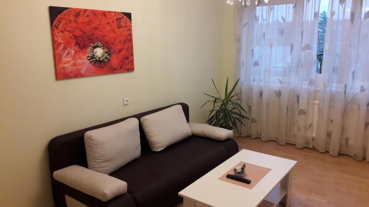 Grazinos Apartamentai ปาเนเวชิส ภายนอก รูปภาพ